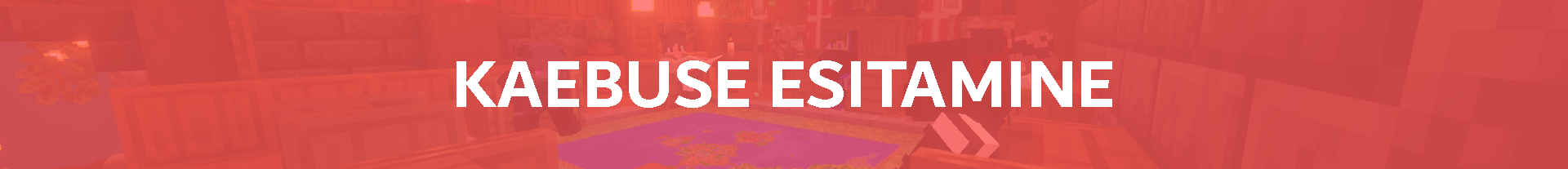 Kaebuse Esitamine